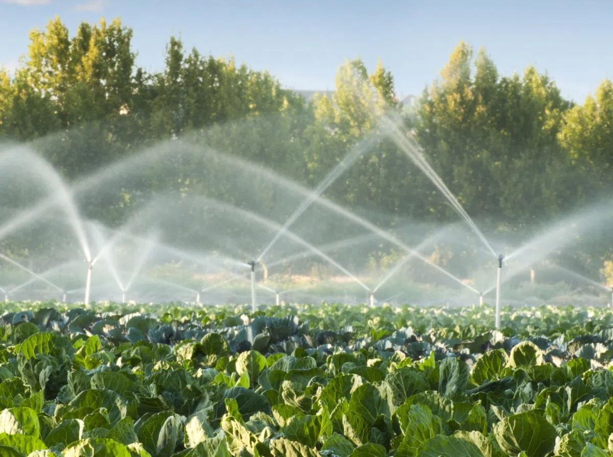 Farmer using a tablet outdoors to monitor ZTN Technology's irrigation data dashboard showing soil moisture levels.
