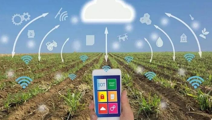 Conceptual image representing ZTN Technology's innovative approach to smart agriculture.